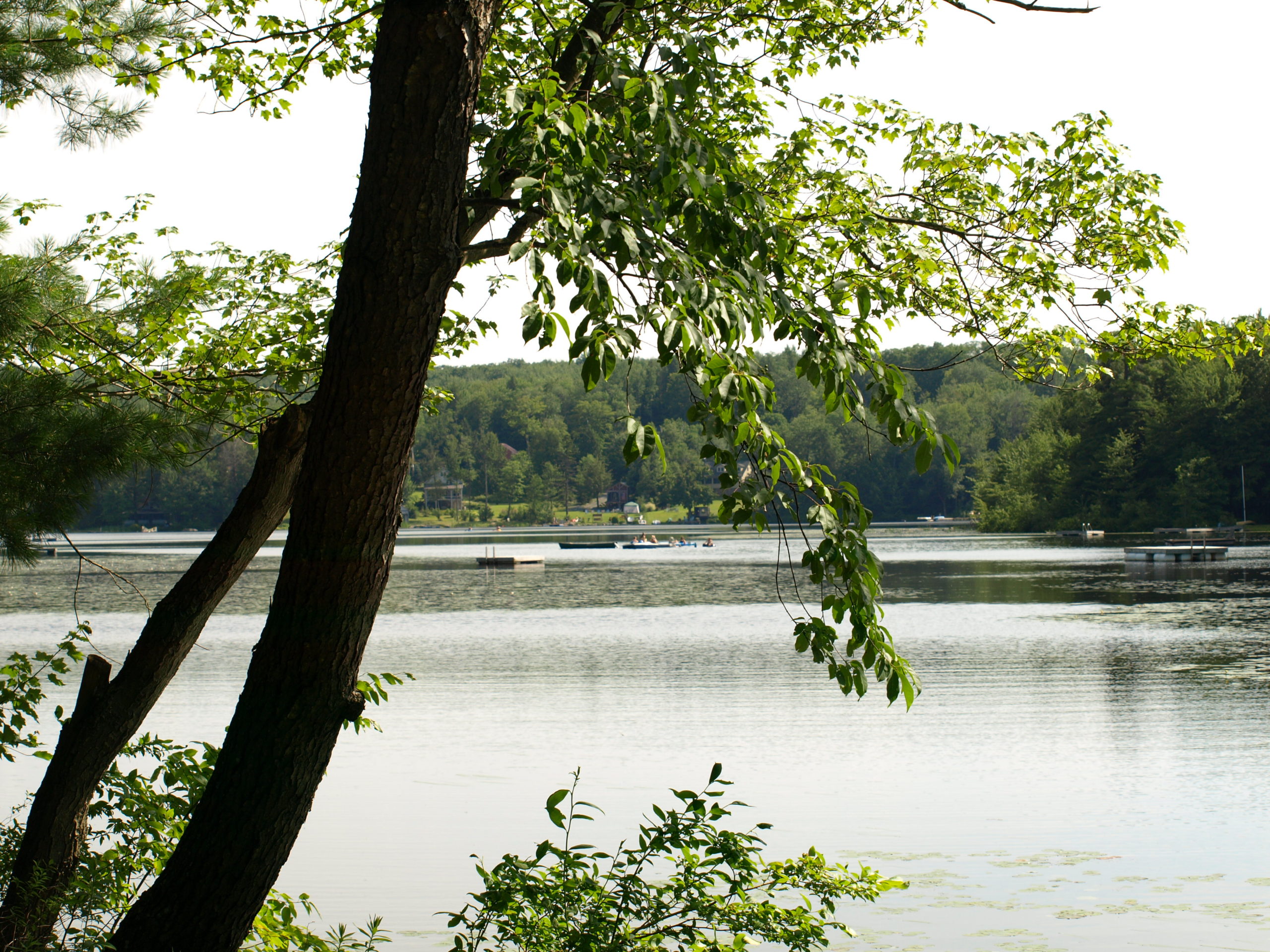 Bowman Lake Association