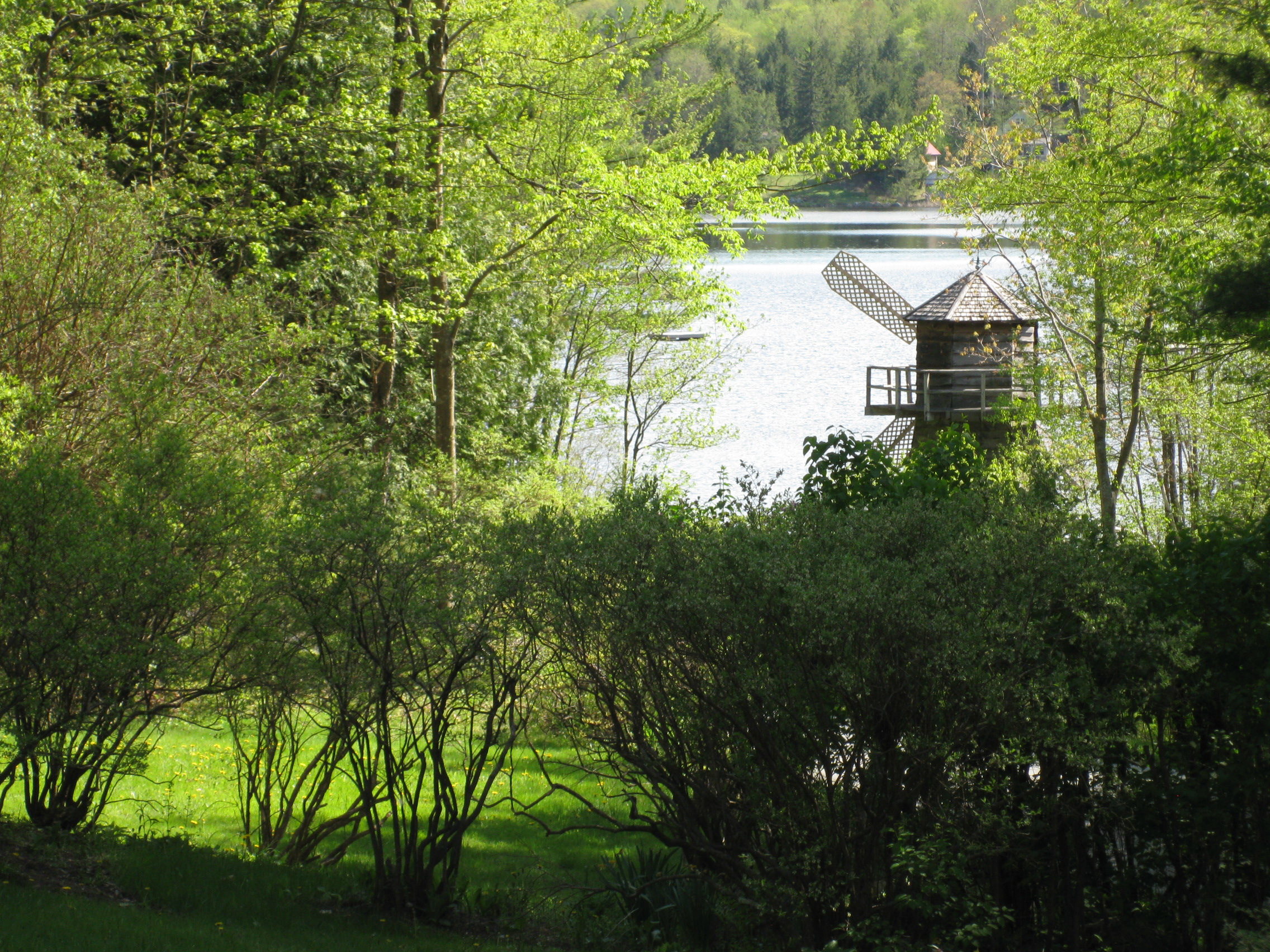 Bowman Lake Association