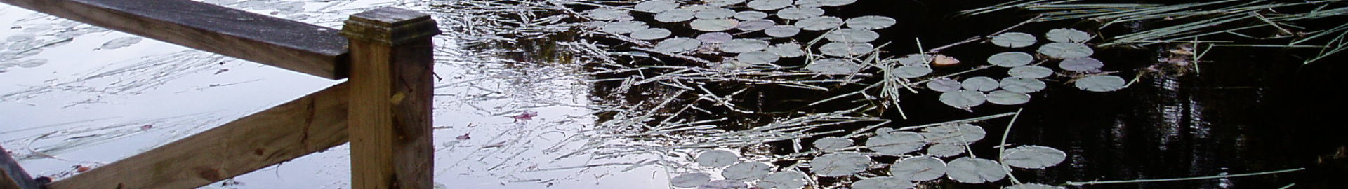 Bowman Lake Association