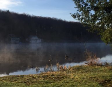 Other Bowman Pond Water Quality Reports