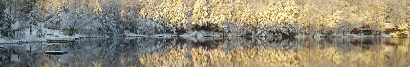 Bowman Lake Association