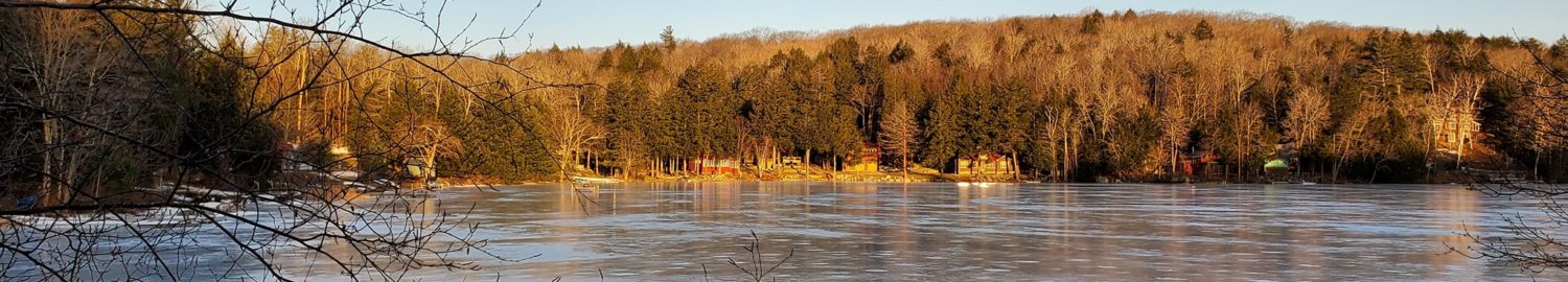 Bowman Lake Association