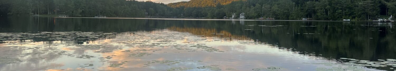 Bowman Lake Association