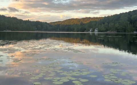 Other Bowman Pond Water Quality Reports